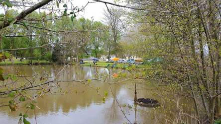 Etang communal de Panzoult - Panzoult, Centre-Val de Loire