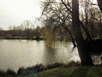 Etang Communal Meurchin - Meurchin, Hauts-de-France