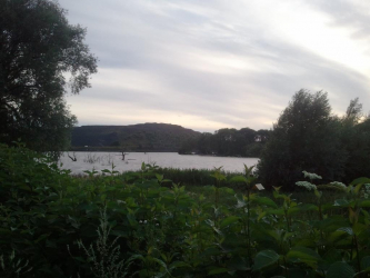 Etang de Harnes - Noyelles-sous-Lens, Hauts-de-France