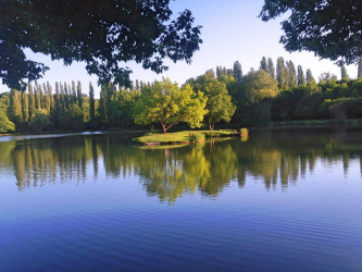 Etang de Malassis à Breuillet - Breuillet, Ile de France