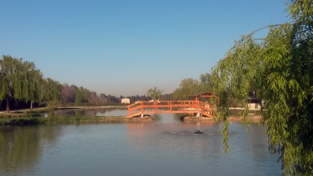 Etang de pêche à la truite de Meynes - Meynes, Occitanie