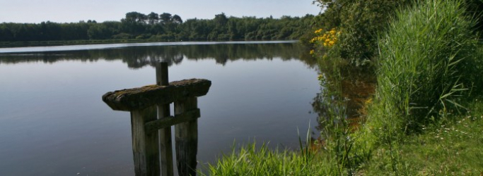 Etang de pêche de Dhuizon - Dhuizon, Centre-Val de Loire