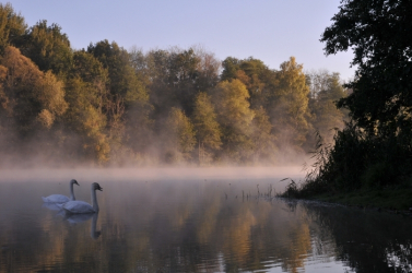 Etang de Saint-Vaast-lès-Mello - Saint-Vaast-lès-Mello, Hauts-de-France