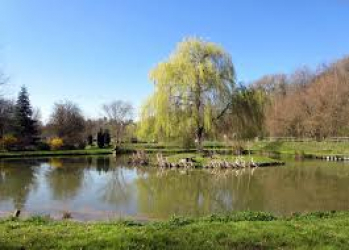 Etang de Vallière - Santeuil, Ile de France