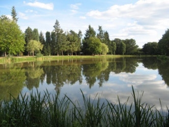 Etang de Villemurlin - Villemurlin, Centre-Val de Loire