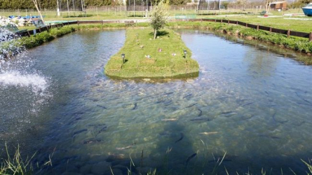 Etang des Saules à Puyricard - Aix-en-Provence, Provence Alpes Côte d'Azur