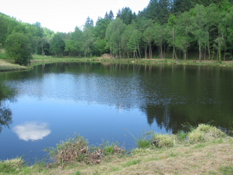 Etang du bourd de Saint Moreil - Saint-Moreil, Nouvelle-Aquitaine