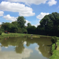 Etang du lieu pinet à Villers-Canivet - Villers-Canivet, Normandie