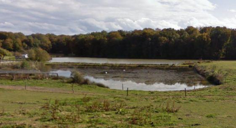 Etang Fournu à Florimont - Florimont, Bourgogne-Franche-Comté