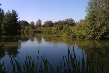 Etangs communaux d'Aubers - Aubers, Hauts-de-France