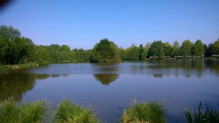 Étang Communal de Trans-la-Foret - La Magentaise - Pleine-Fougères, Bretagne