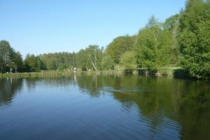 Domaine de pêche Etangs de Saint André (60) - Pontarmé, Hauts-de-France