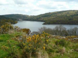 Lac de Guerlédan - Mûr-de-Bretagne, Bretagne