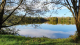 Arvernes Damona : Etang des Vaures - Ris, Auvergne-Rhône-Alpes