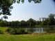 Etang communal de Sainte-Montaine - Sainte-Montaine, Centre-Val de Loire