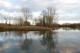 Etang de la Sillandais - Chavagne, Bretagne