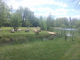 Etangs de pêche du moulin de guiral - Saint-Martin-le-Redon, Occitanie